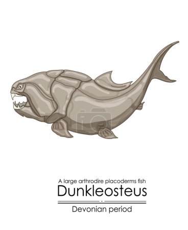 Dunkleosteus, a Devonian period large arthrodire fish. Colorful illustration on a white background