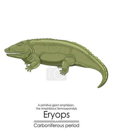 Illustration for Eryops, an extinct, primitive, giant amphibian from the Carboniferous Period. Colorful illustration on a white background - Royalty Free Image
