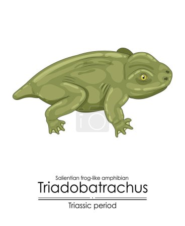 Prähistorischer frosch-ähnlicher Amphibie Triadobatrachus, ein Geschöpf aus der Triaszeit, farbenfrohe Illustration auf weißem Hintergrund
