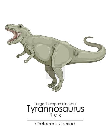 Tyrannosaurus REX, a large theropod dinosaur from Cretaceous period. 