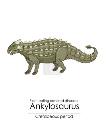 Ankylosaurus, ein pflanzenfressender Panzerdinosaurier aus der Kreidezeit.