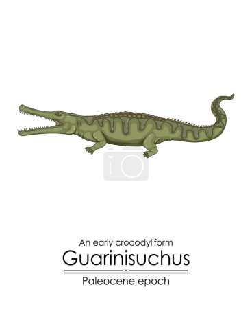 Illustration for An early crocodyliform Guarinisuchus from Paleocene epoch. - Royalty Free Image