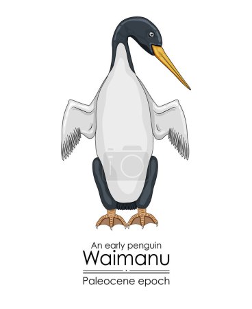Photo for Waimanu, an early penguin from the Paleocene epoch. - Royalty Free Image