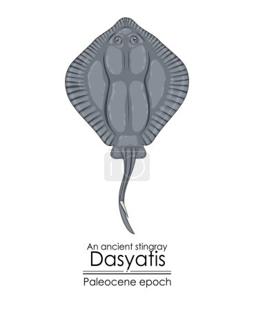 Illustration for An ancient stingray Dasyatis, a Paleocene epoch creature. - Royalty Free Image