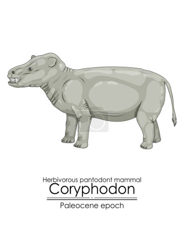 Illustration for One of the first mammals, the pantodont Coryphodon, was a creature from the Paleocene period - Royalty Free Image