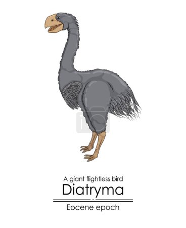 Illustration for A prehistoric giant flightless bird, Diatryma, from the Eocene epoch. - Royalty Free Image