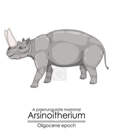 Arsinoitherium, ein paenunguläres Säugetier aus dem Oligozän. Es hatte große Nasenhörner und kleinere Stirnhörner. 
