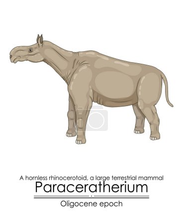 paraceratherium