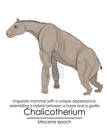 Illustration for Chalicotherium, Ungulate mammal with a unique appearance, resembling a hybrid between a horse and a gorilla from Miocene epoch. - Royalty Free Image