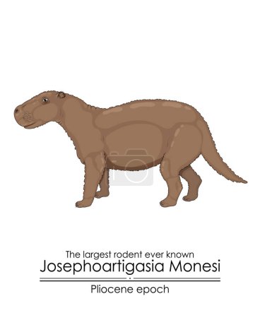Illustration for The largest rodent ever known Josephoartigasia Monesi from Pliocene epoch. - Royalty Free Image