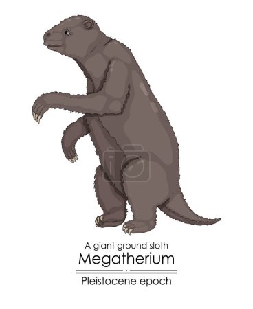 Illustration for A giant ground sloth Megatherium from Pleistocene epoch. - Royalty Free Image