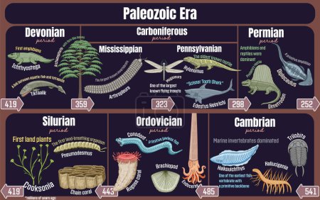 Ilustración de Paleozoic Era: Cronología geológica que abarca desde el período Cámbrico al Pérmico. - Imagen libre de derechos