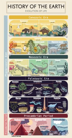 Historia de la Tierra- Evolución de la vida cartel educativo colorido. El viaje desde la formación de la Tierra hasta la 'Explosión del Cámbrico', el ascenso de los dinosaurios, la evolución de los primeros mamíferos