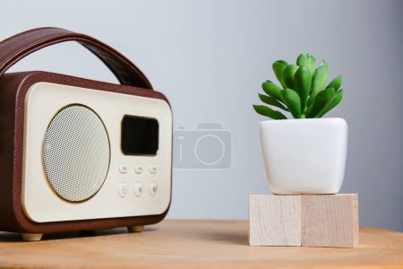 Foto de Una radio de estilo vintage junto a una exuberante planta suculenta verde, encaramada en bloques de madera, crea una mezcla armoniosa de tecnología y naturaleza en un escritorio de madera.. - Imagen libre de derechos