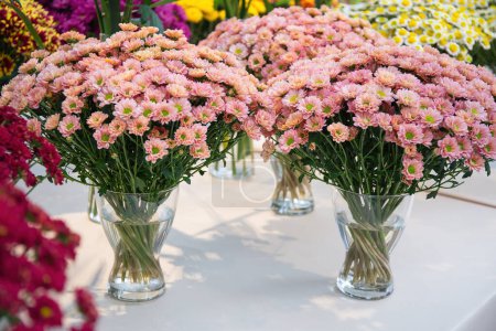 Üppige Sträuße korallenrosa Chrysanthemen präsentiert in klaren Vasen, Wohnkultur und floralen Ausstellungen, Kultivierung