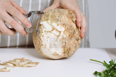 A woman in apron peeling celeriac or celery root with peeler in a kitchen. Celeriac in soups, stews, and healthy recipes rich in antioxidants and minerals