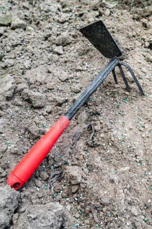 Téléchargez les photos : Sabot de jardin à la surface du sol avec des engrais minéraux dispersés - en image libre de droit