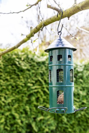 Téléchargez les photos : Une mangeoire à oiseaux en métal est suspendue à une branche d'arbre dans le jardin - en image libre de droit