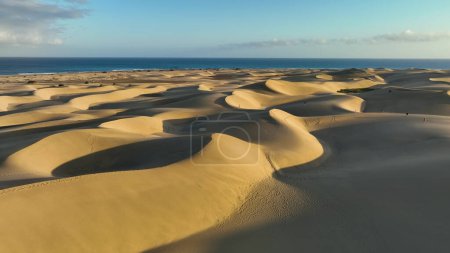 Top view of Maspalomas sand dunes. Aerial view of Gran Canaria Island. Ocean meets sand dunes. Canary islands, Spain