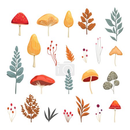 Photo for Autumn Leaves, Flowers and Mushrooms Set. Vector illustration - Royalty Free Image