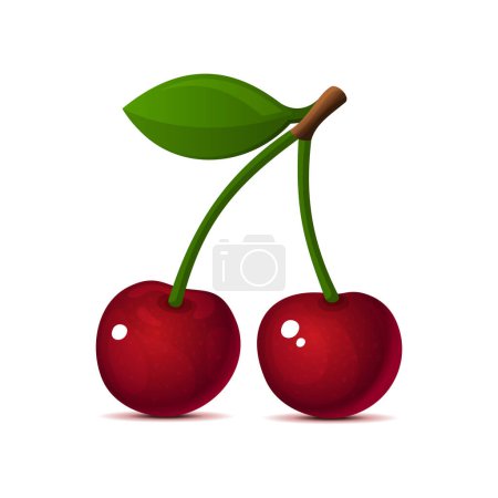 Photo for Cherries on White Background. Realistic 3d Icon. Vector illustration - Royalty Free Image