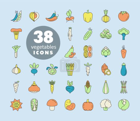 Vegetables isolated vector icons set. Graph symbol for food and drinks web site, apps design, mobile apps and print media, logo, UI