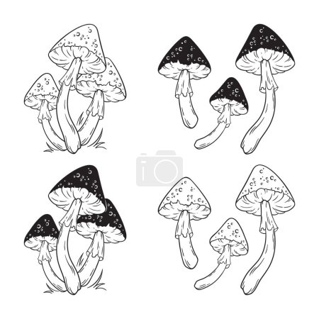 Illustration for Poisonous mushrooms fly agaric toadstool set hand drawn in graphic style isolated vector illustration. - Royalty Free Image