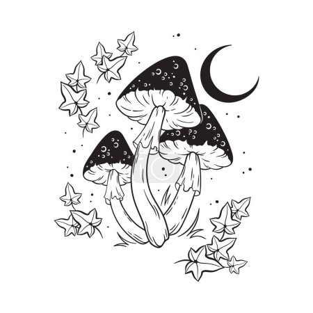 Poisonous mushrooms fly agaric toadstool hand drawn in graphic style isolated vector illustration.