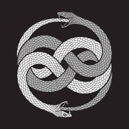 Ilustración de Doble ouroboros o serpientes uroboros que consumen. Ilustración vectorial de tatuaje, póster o diseño impreso. - Imagen libre de derechos
