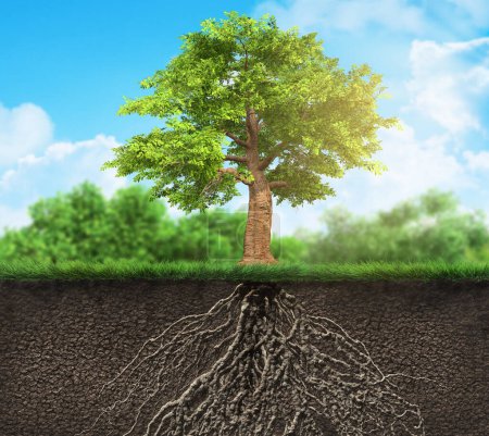 árbol con raíces en el suelo, cruz del suelo, ilustración 3D