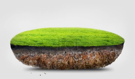 Photo for Green grass cross section of field and soil on white background, 3D illustration - Royalty Free Image
