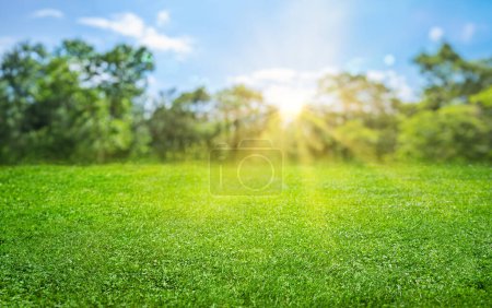 Téléchargez les photos : Fond de champ de gazon naturel avec bokeh flou et rayons du soleil - en image libre de droit