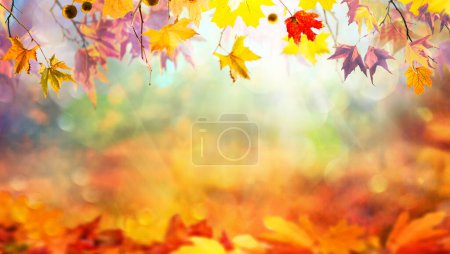 Photo for Multicolored bright autumn branches with fallen maple leaves, colorful autumn natural background - Royalty Free Image