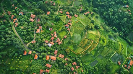 Bunte Familienhäuser in Nachbarschaft mit grünen Bäumen, Luftaufnahme einer nachhaltigen Siedlung in ländlicher Landschaft