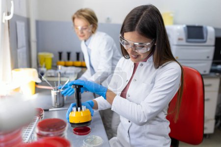 Medical Science Laboratory, Antibiotic susceptibility testing. Scientist Does testing antibiotics. Ambitious Young Biotechnology Specialist, working with Advanced Equipment.