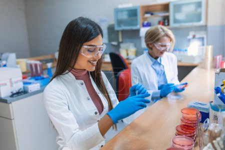 Photo for Scientist examining solution in petri dish at a laboratory. Lab Scientist Examining and using Petri Dish. Lab Experiment.Researcher examining cultures in petri dishes - Royalty Free Image