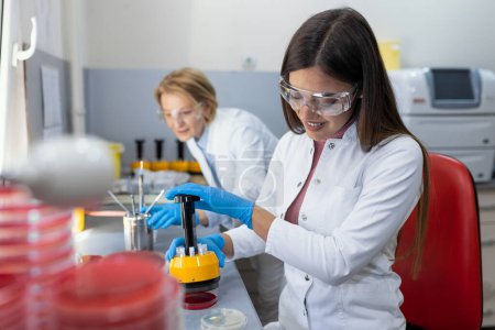 Photo for Medical Science Laboratory, Antibiotic susceptibility testing. Scientist Does testing antibiotics. Ambitious Young Biotechnology Specialist, working with Advanced Equipment. - Royalty Free Image