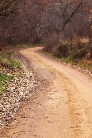 Foto de Un camino que conduce a la naturaleza en otoño - Imagen libre de derechos