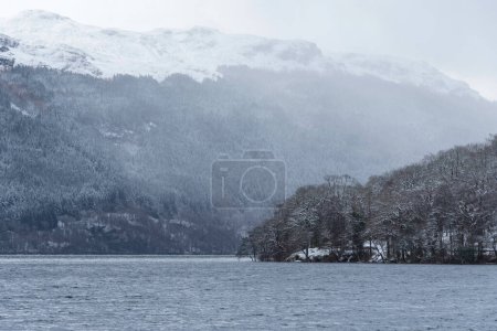 Foto de Beautiful Winter landscape image of snow covered trees on shores of Loch Lomond with Ben Lomond mountain looming in background - Imagen libre de derechos