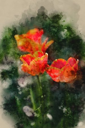 Téléchargez les photos : Aquarelle numérique de belle image de printemps de fleur de tulipe dans coloré vibrant paysage de jardin de campagne anglais - en image libre de droit