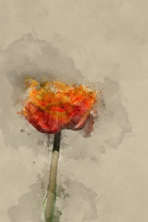 Téléchargez les photos : Aquarelle numérique peinture de belle image de printemps de Tulipa Sensual Touch fleur dans coloré vibrant paysage de jardin de campagne anglais - en image libre de droit