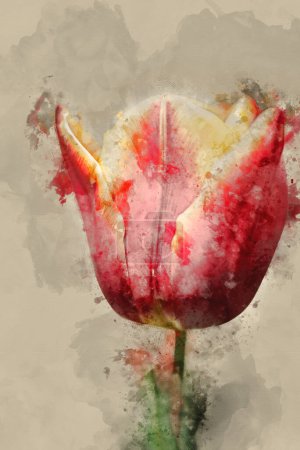 Foto de Pintura digital de acuarela de la hermosa imagen de primavera de la flor del tulipán en colorido paisaje vibrante del jardín del país inglés - Imagen libre de derechos