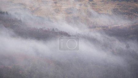 Téléchargez les photos : Beau paysage brumeux hivernal qui dérive à travers les arbres sur les pentes de Ben Lomond en Écosse - en image libre de droit