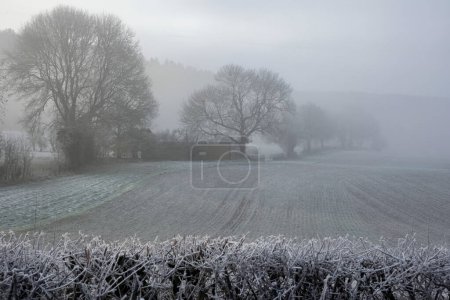 Photo for Beautiful Winter landscape in English countryside at dawn with thick fog hiding farm buildings across the fields - Royalty Free Image