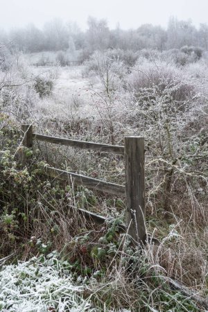 Téléchargez les photos : Beautiful Wintry landscape image of forest in English countryside covered in hoarfrost - en image libre de droit