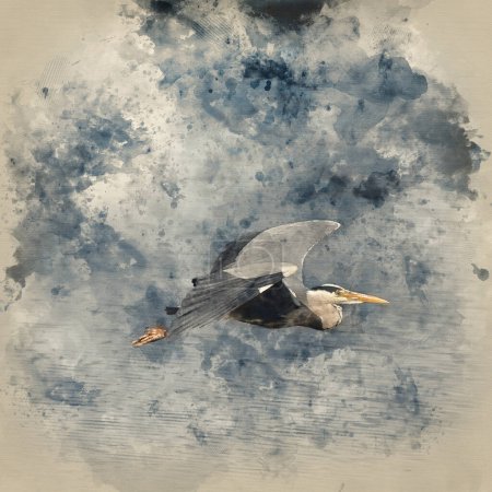 Téléchargez les photos : Digital watercolour image of Beautiful image of Grey Heron Ardea Cinerea in flight over wetlands landscape in Spring - en image libre de droit