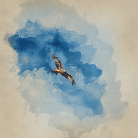 Photo for Digital watercolour image of Beautiful image of Marsh Harrier Circus Aeruginosus raptor in flight hunting for food over wetlands landscape in Spring - Royalty Free Image