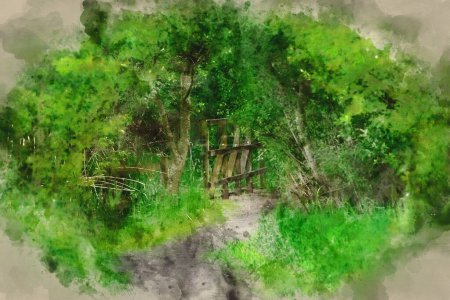 Téléchargez les photos : Digitally created watercolour painting of Beautiful landscape image looking along path through lush green forest in Spring sunshine with shallow depth of field - en image libre de droit