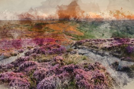 Photo for Stunning late Summer sunrise in Peak District over fields of heather in full bloom around Higger Tor and Burbage Edge - Royalty Free Image