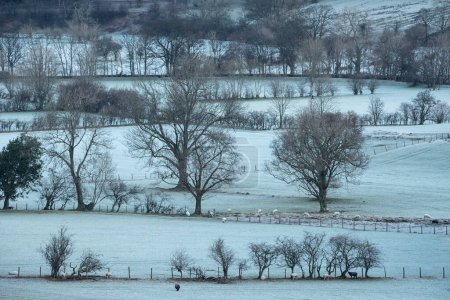 Foto de Dramatic Winter landscape image looking across countryside in Lake District with hard frost on the ground and crisp blue sky - Imagen libre de derechos